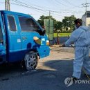 계룡부화장 이미지
