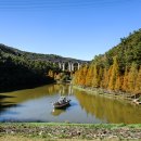 용소웰빙공원 이미지