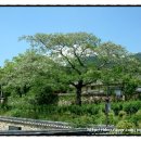 한반도까르페디엠 이미지