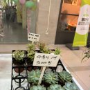 꽃수레화원 이미지