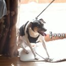 맥스켄넬 이미지