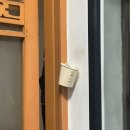 의성반점 이미지