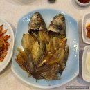 [블챌] 2월 셋째 주 : 고기 이렇게 많이 먹은 주는 처음일 거야...