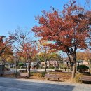 군산꽃직매장 | 군산 백년광장 & 군산로컬푸드 직매장 (FEAT.이성당)