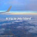 퐁낭동물병원 | 제주도 3박 4일 여행 코스 가볼 만한 곳, 숙소 추천