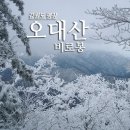 144차 토요산행 2월 18일 강원 평창의 오대산 비로봉(블야 100) 이미지