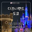 섬랜드월드 | 도쿄 디즈니랜드 무섭지 않은 인기 어트랙션 추천 대기시간, 포토존 후기