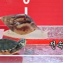 초연중학교 이미지