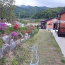 숲펜션민박 이미지