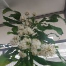 리더스안경원 이미지