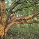 성읍리-17 이미지