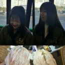 골드로즈헤어