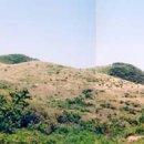 산용목장 Daum카페