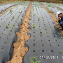 근현농장 이미지