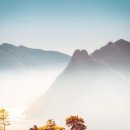 일반인 대상 네트워크 이미지