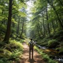 완주로컬푸드협동조합 | 🎯&#34;관계인구 여행 트렌드: 완주 1박2일 단골코스 완벽정리&#34;