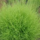 아멘농장 이미지