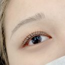 활짝핀 속눈썹 이미지