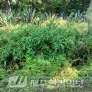 송림환경(주) 이미지