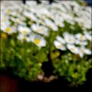 과역면사무소 이미지