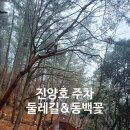양마산 물빛길 | 진주 가볼만한곳 진양호 주차와 둘레길, 동백꽃