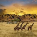 한국폴리텍V대학목포캠퍼스 이미지