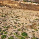 청정부동산중개인사무소 이미지