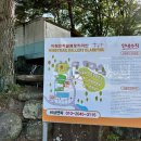 바람흔적미술관글램핑 | 합천글램핑장 합천카라반 합천바람흔적글램핑카라반에서 캐빈형글램핑 후기