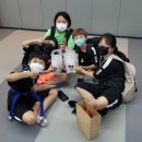 청출어람태권도 이미지