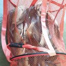 극동낚시터 이미지