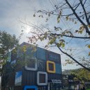 죽도대나무마을 영어조합법인 이미지