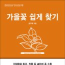 봄여름가을 이미지