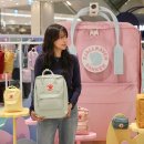 십분순삭 | 피엘라벤 팝업 칸켄 오리지널 미니 사이즈 착용 후기 롯데백화점 김포공항점