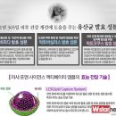 탑미샤화장품