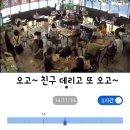 리프패럿 이미지