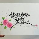 캘리그라피 이미지