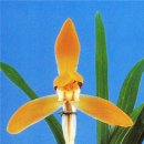 (주)금화 이미지