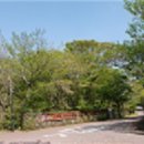 서귀포자연휴양림 이미지