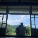 뜨거웠던 여름은 지나고 차가운 계절 속에서 (24년 회고록 - 하반기)