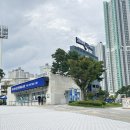 118 | 창원NC파크 118블럭 미니테이블석 원정 후기