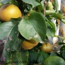 초입농장 이미지