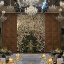 11620-전5-6-2 | 포항 결혼준비 / 예식장 홀투어 - 라메르 웨딩 컨벤션 5층 라메르홀, 6층 루체홀 상담, 계약후기