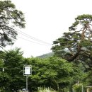 청정가든 이미지