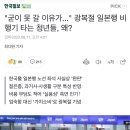 &#34;굳이 못 갈 이유가...&#34; 광복절 일본행 비행기 타는 청년들, 왜? 이미지