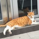 남산우리약국 이미지