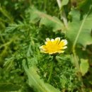 가야대학교생활관 이미지