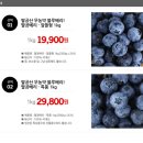 블루베리디자인 이미지