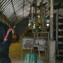 행복한농사꾼 이미지