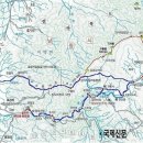 구룡중식 Daum카페