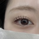 모마무드 | 청주 지웰시티 속눈썹펌 [ 모마무드 ] 아이돌펌 후기
